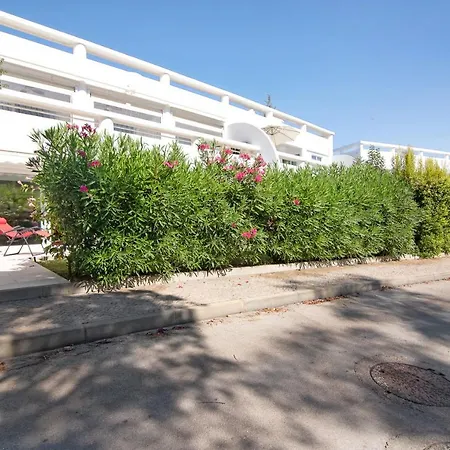 Large In Vale Do Lobo * Almancil